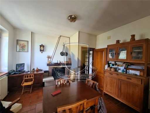  - foto 36