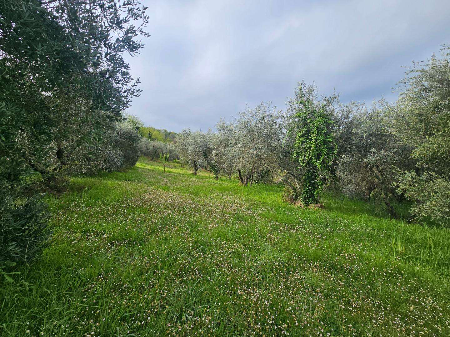  - foto 38