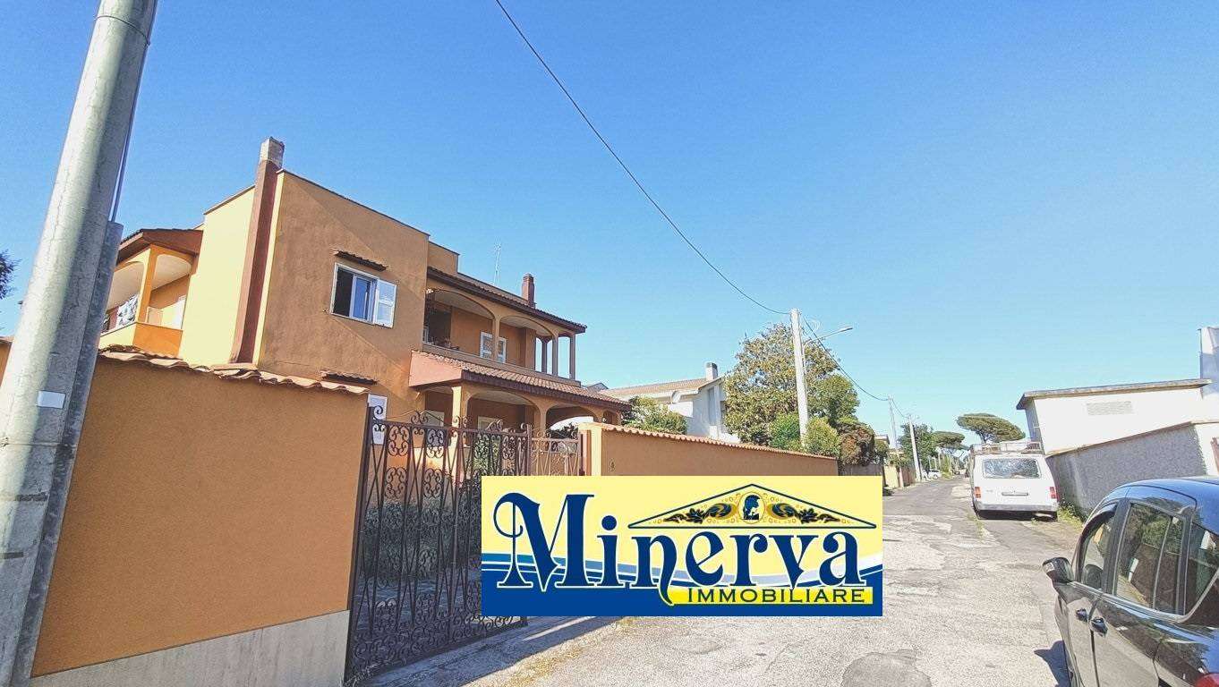  - foto 31