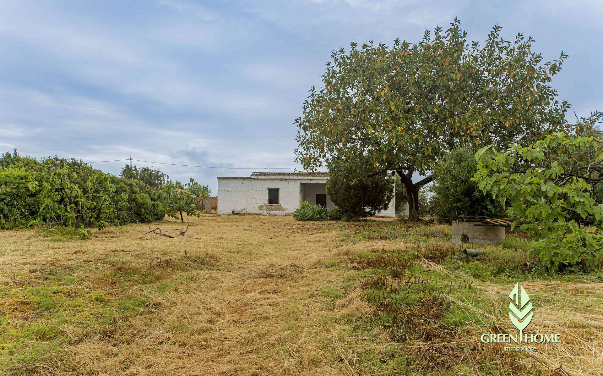  - foto 20