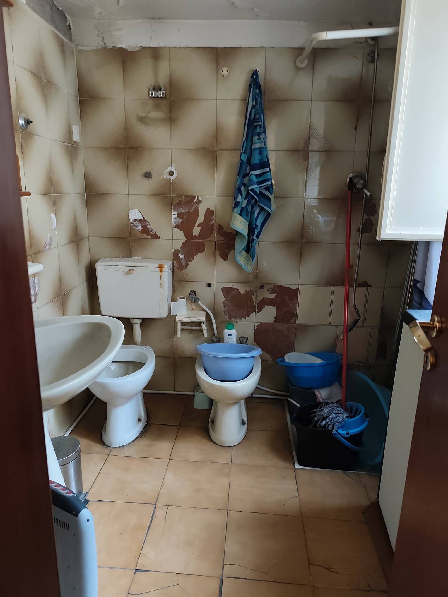  - foto 6