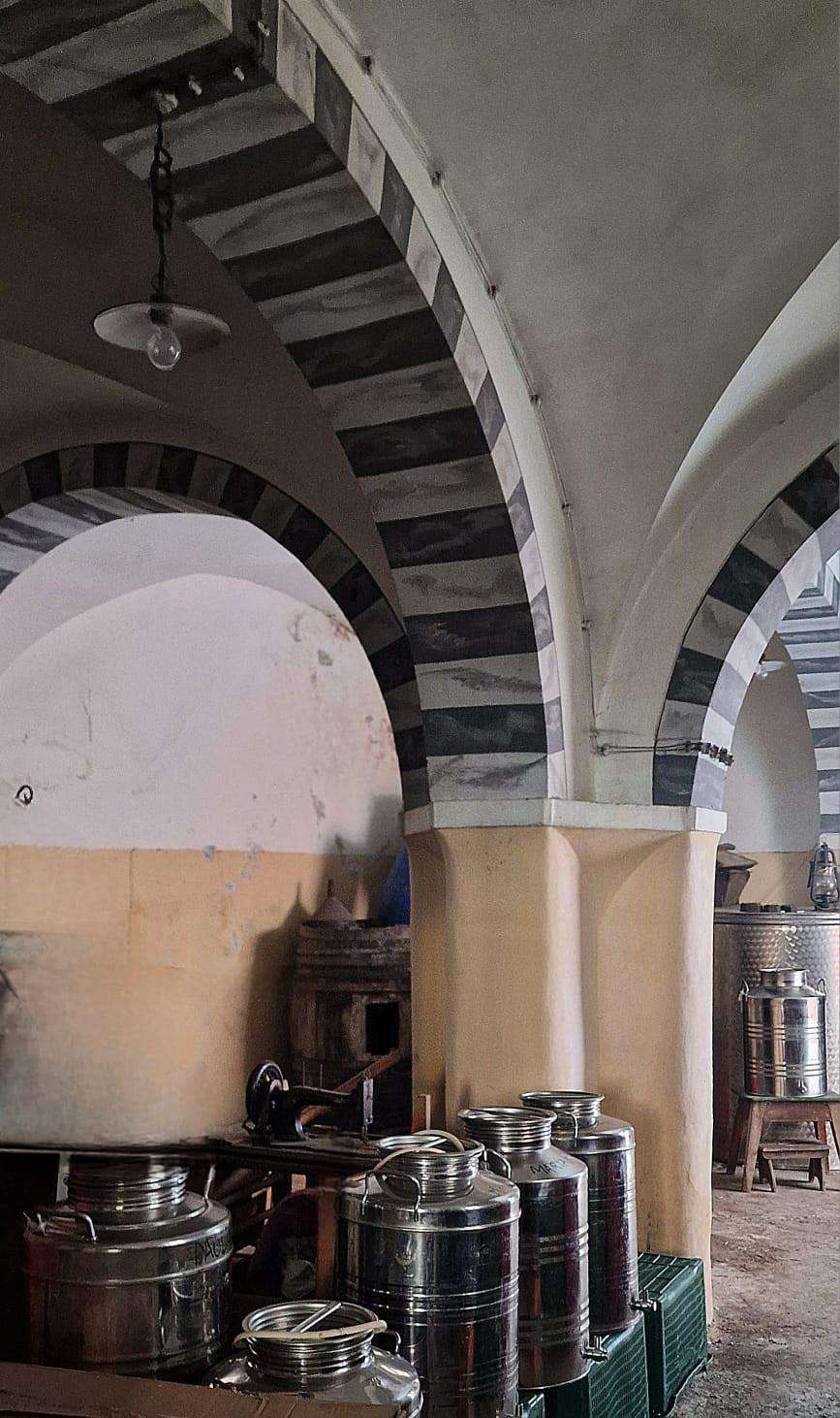  - foto 4