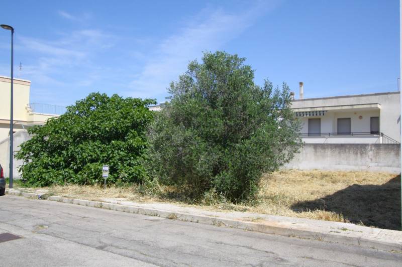  - foto 3