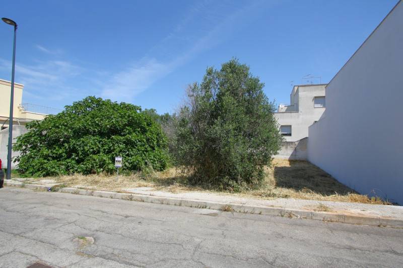  - foto 5