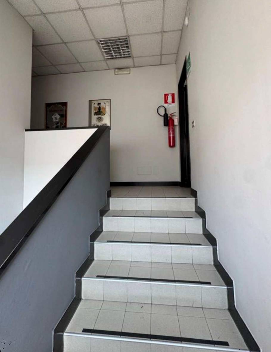  - foto 8