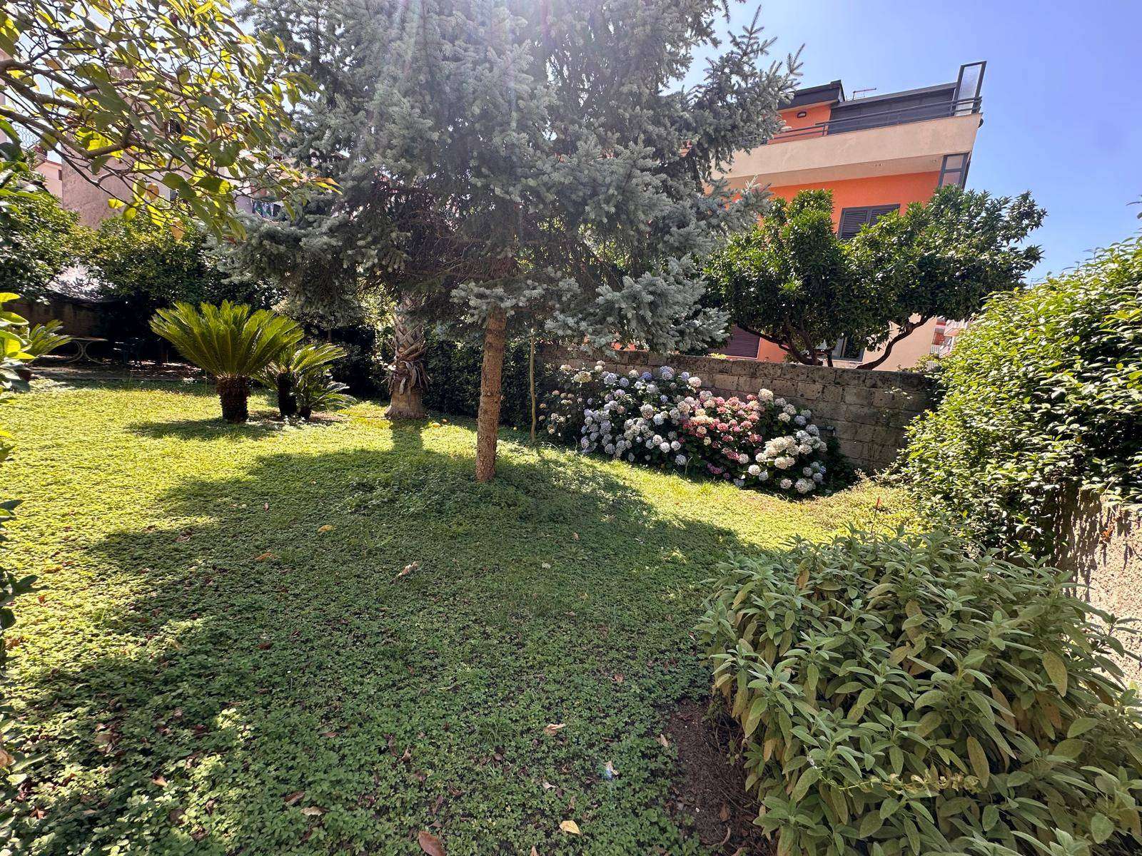  - foto 34