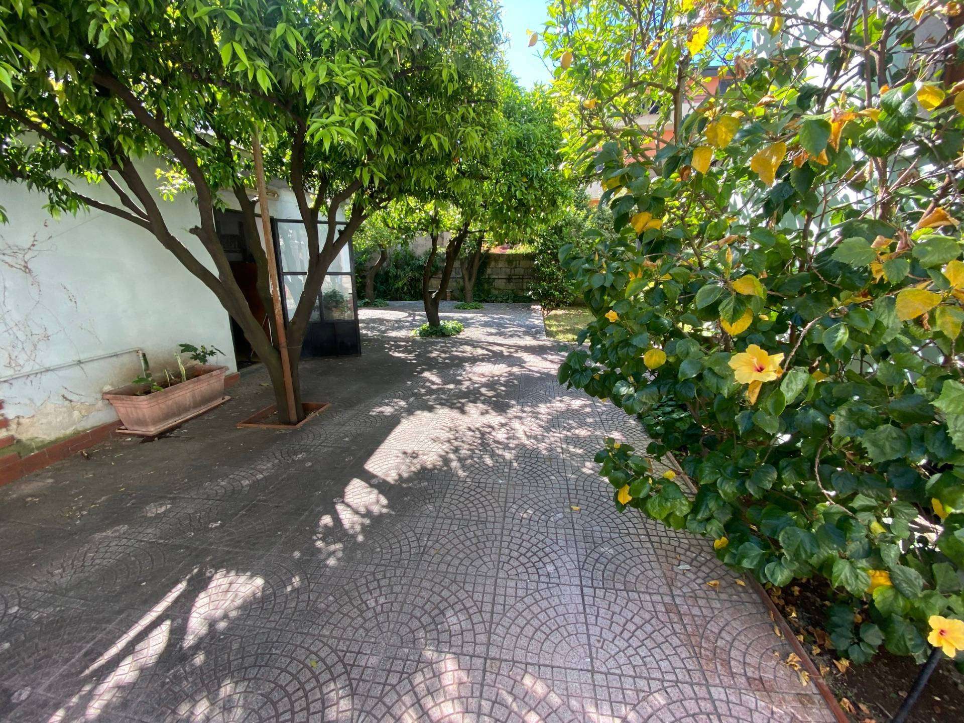  - foto 56