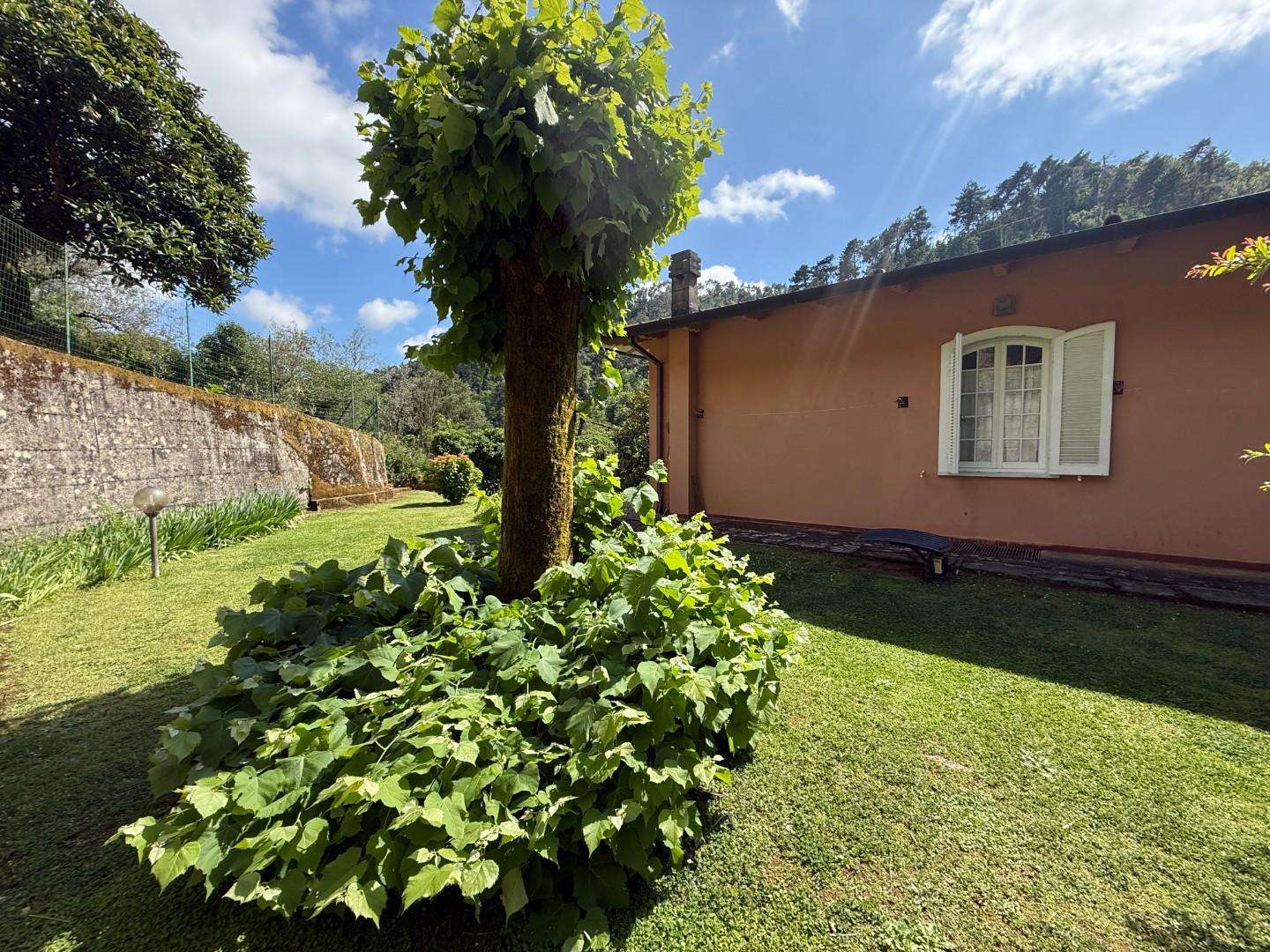  - foto 12