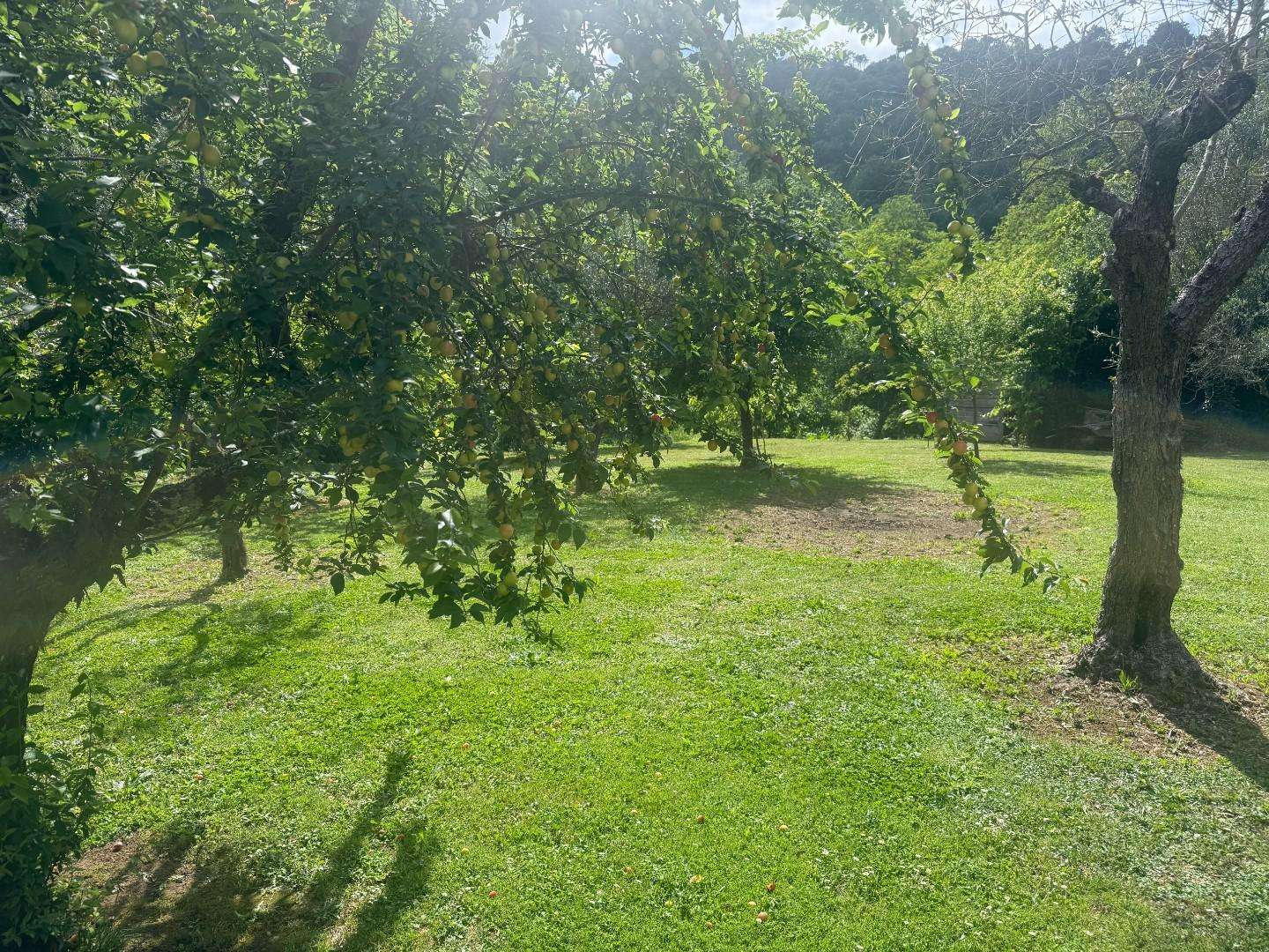  - foto 19