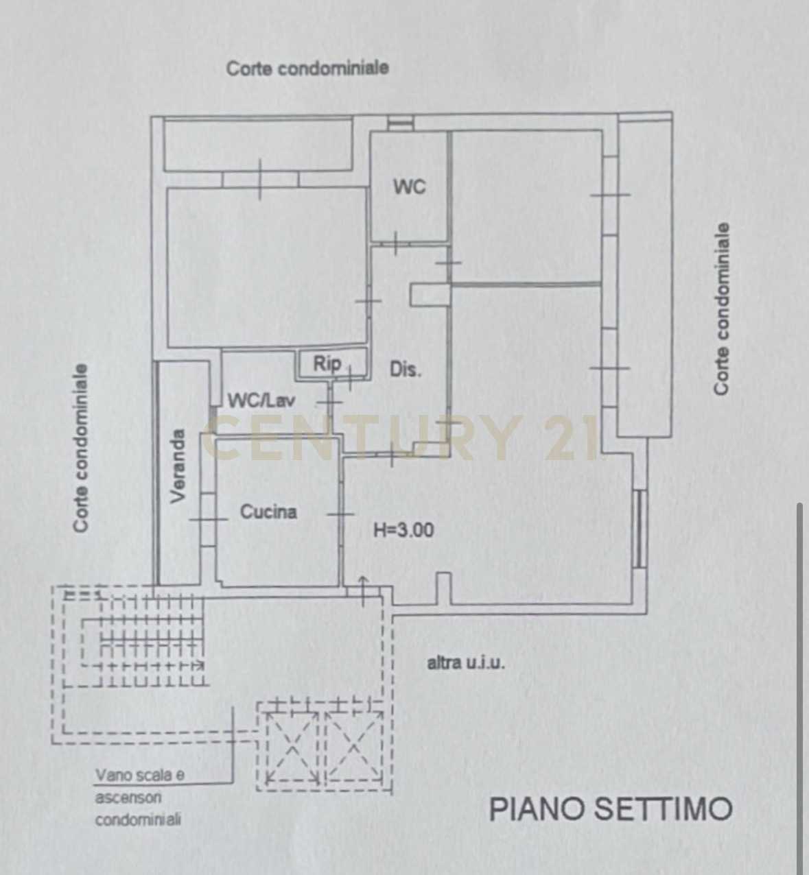  - foto 51