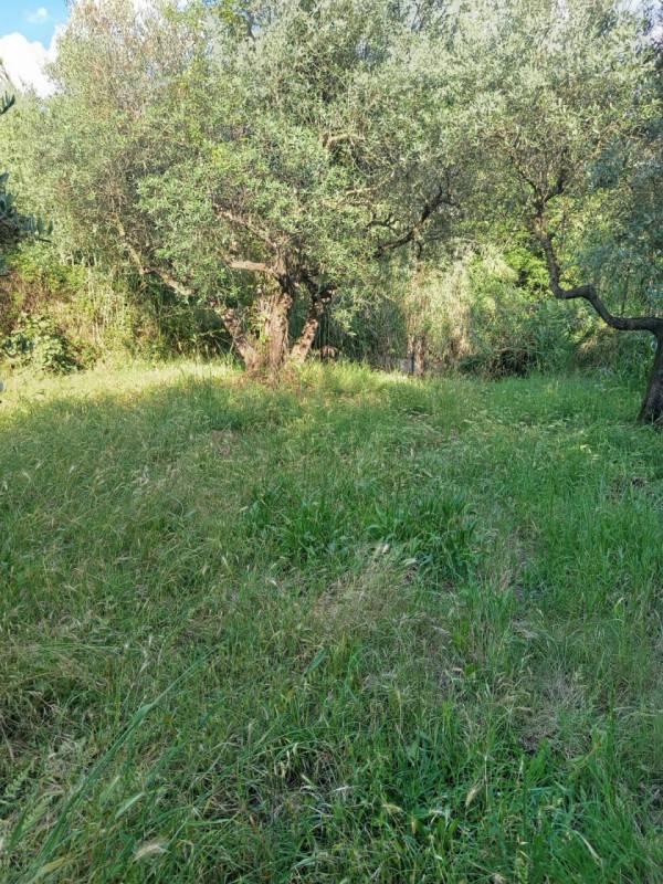  - foto 3