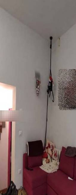  - foto 3
