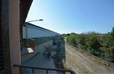  - foto 15