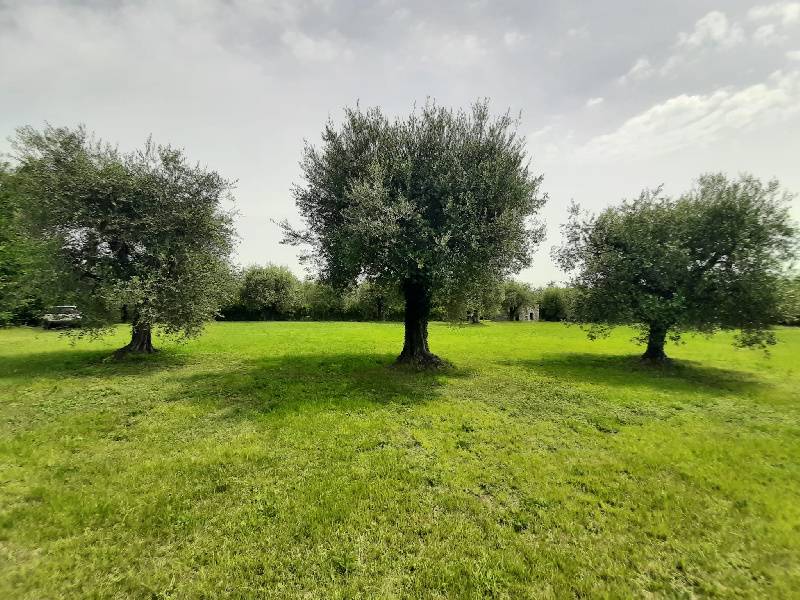 Terreno agricolo, San Felice del Benaco