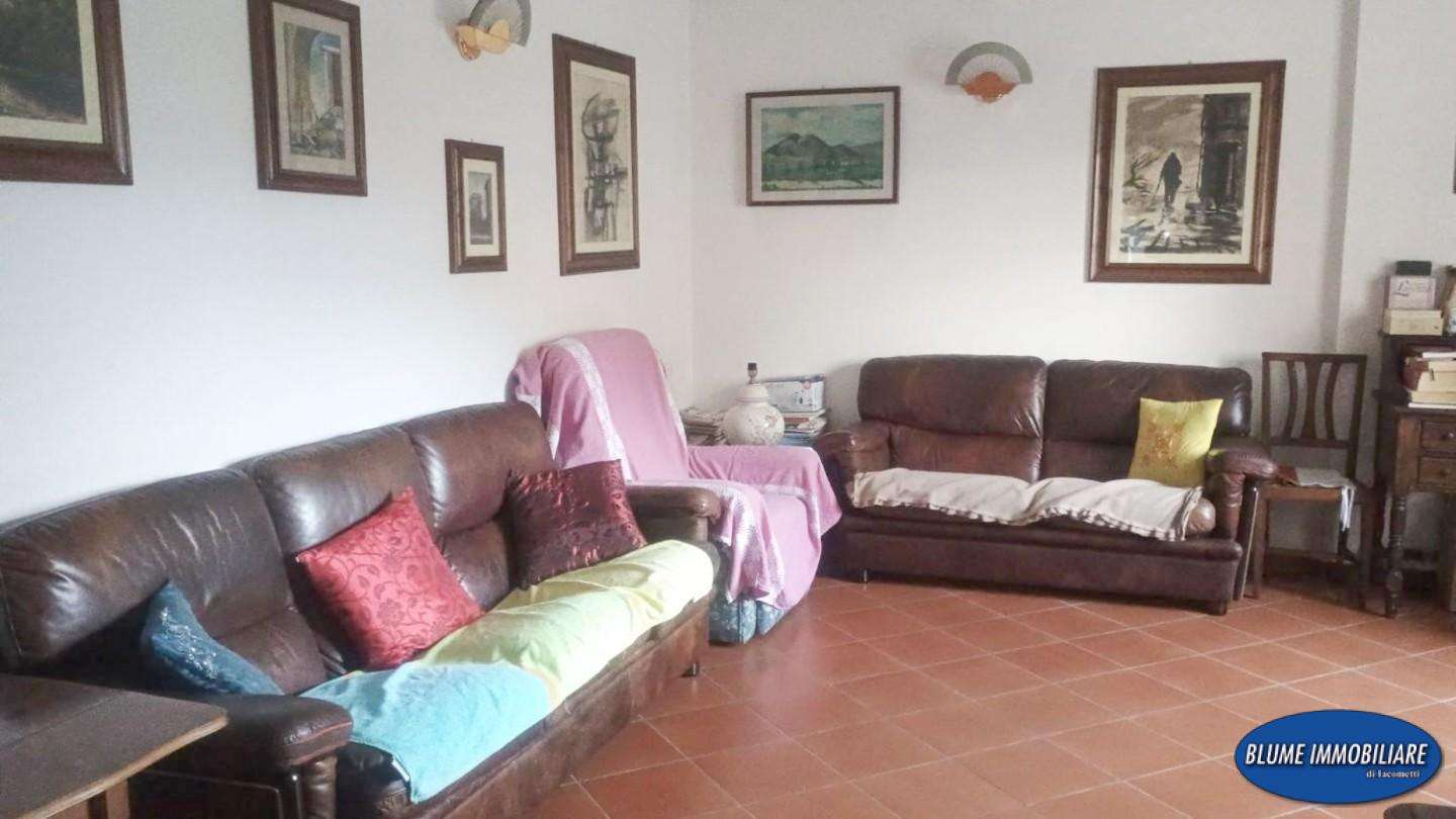  - foto 7