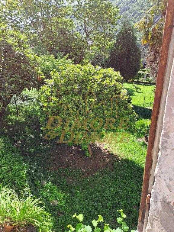  - foto 23