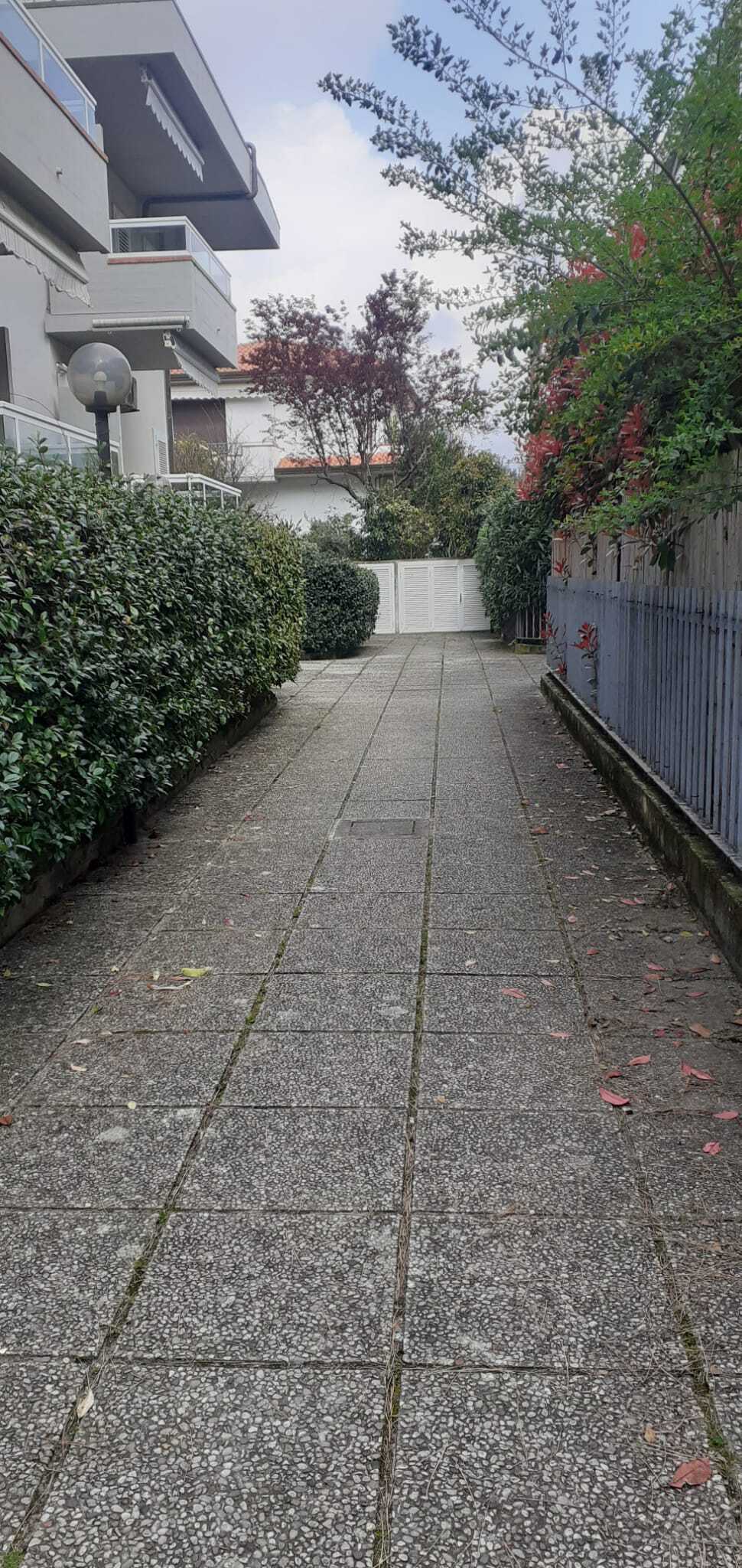  - foto 17