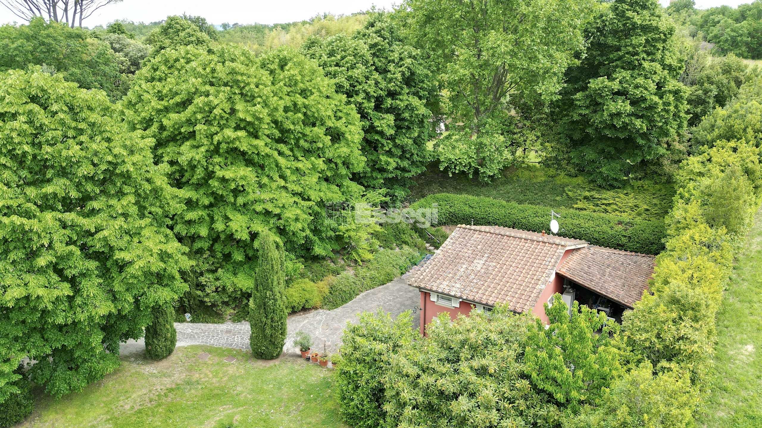  - foto 14