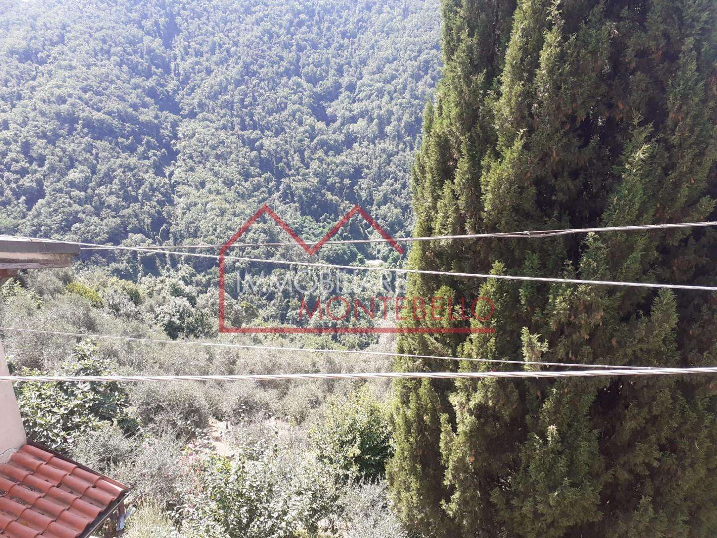  - foto 15