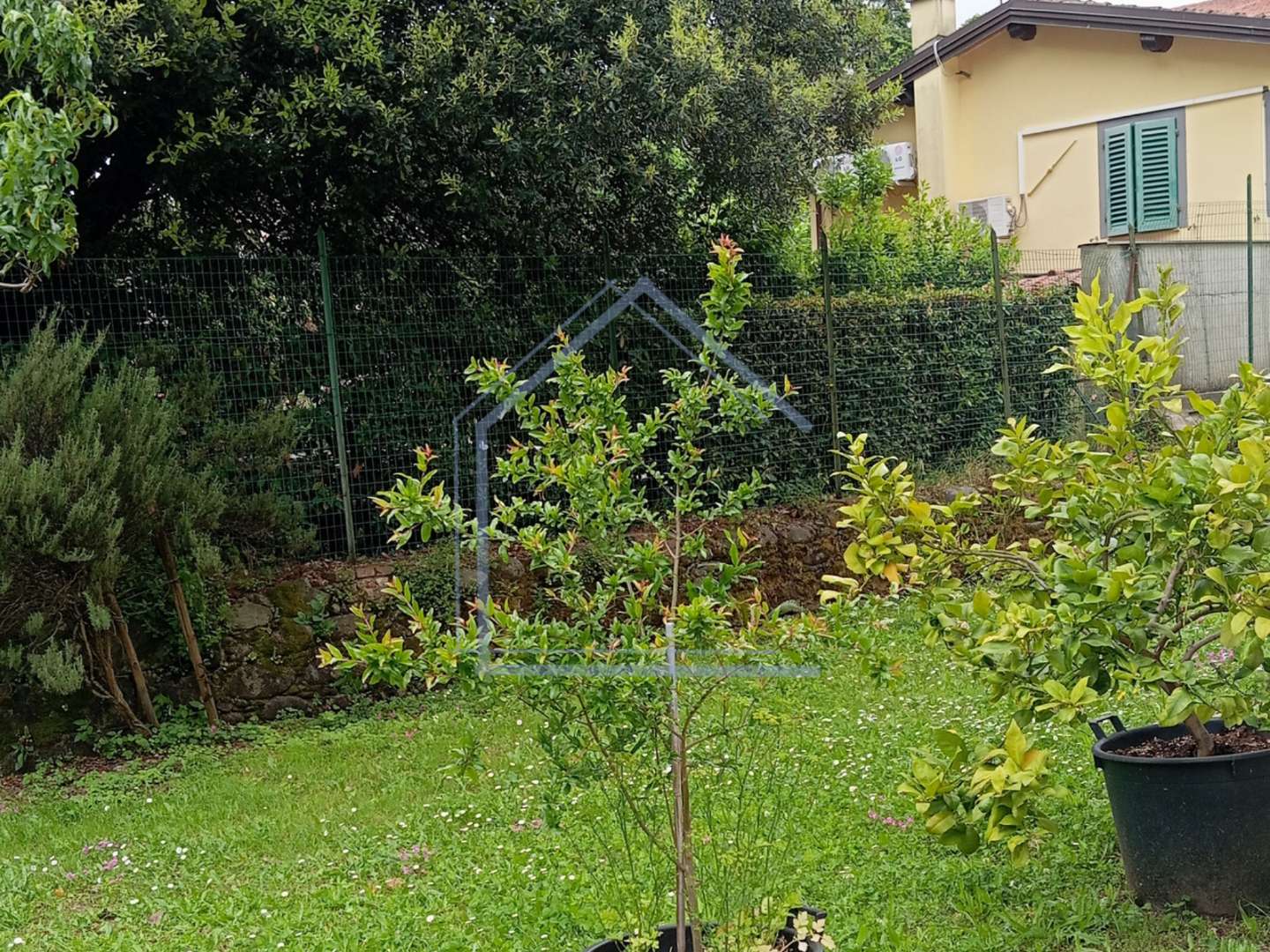  - foto 2