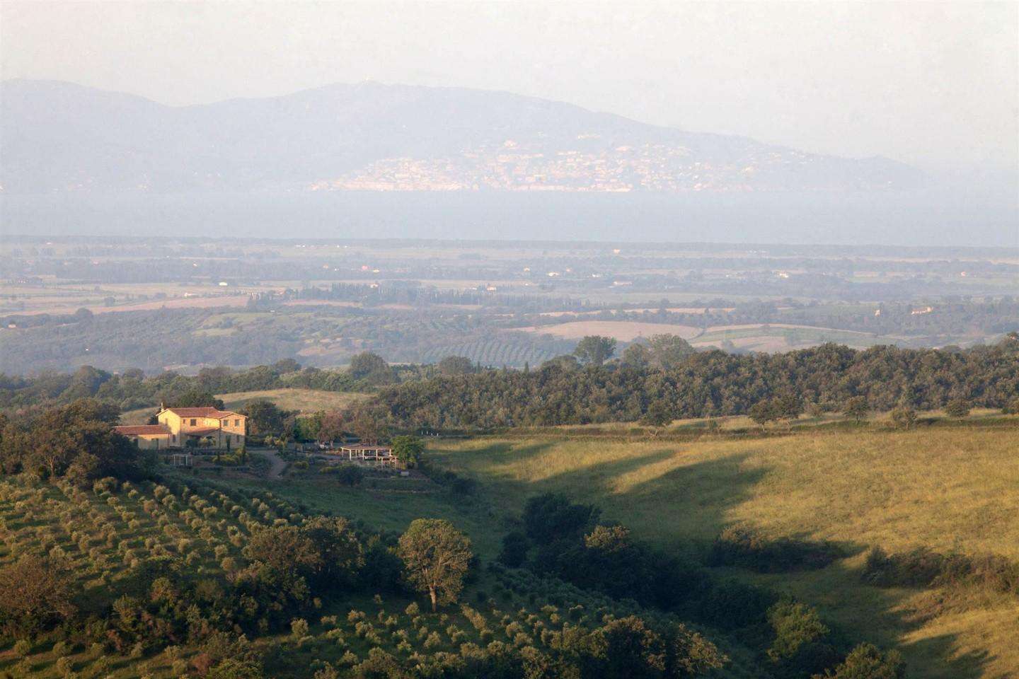  - foto 20
