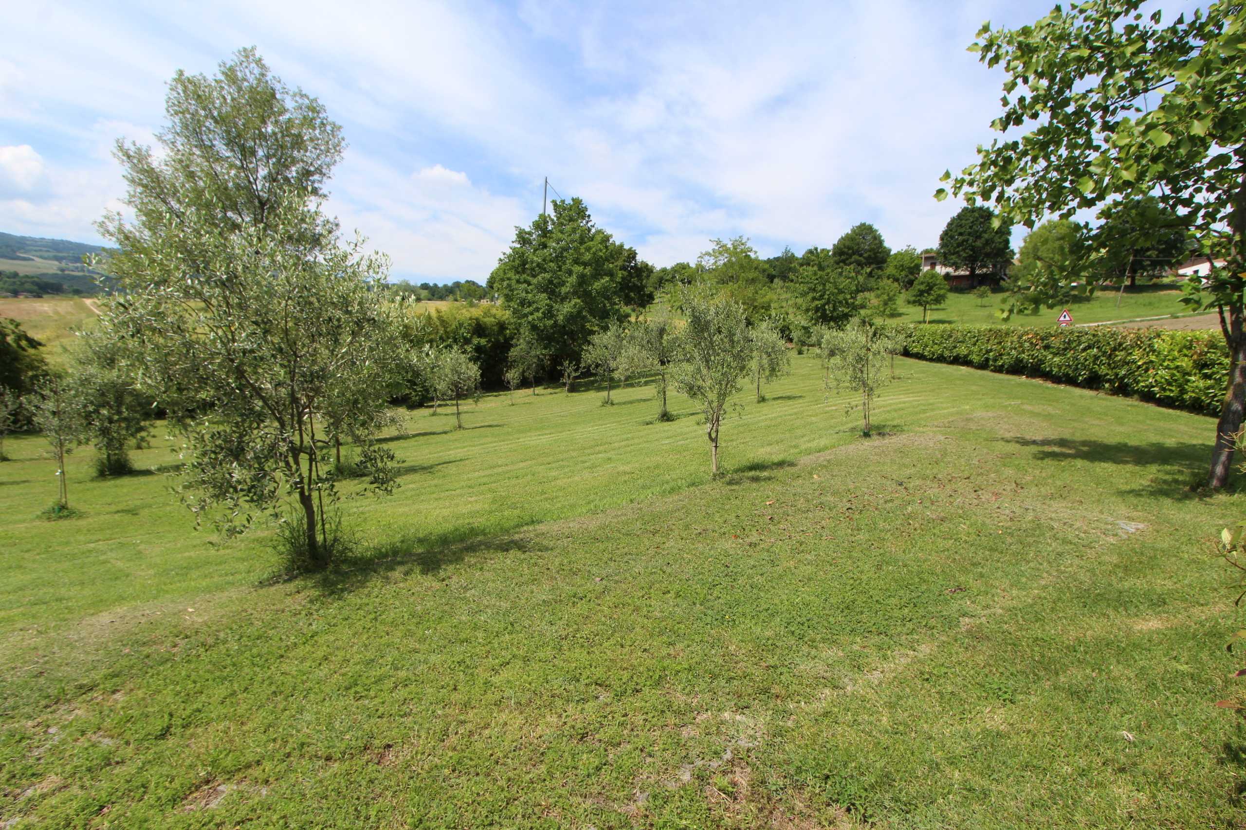  - foto 15