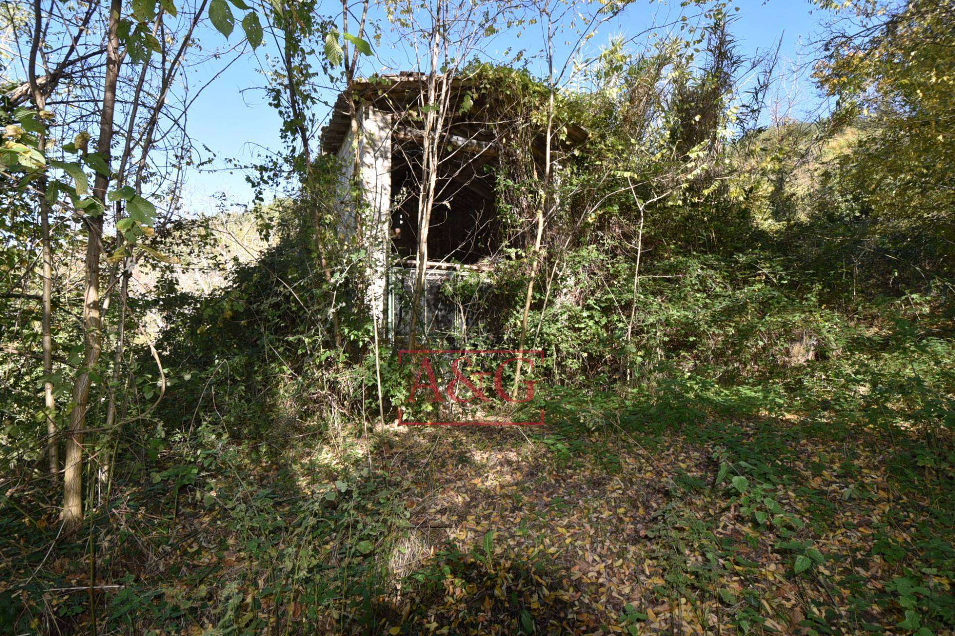  - foto 31