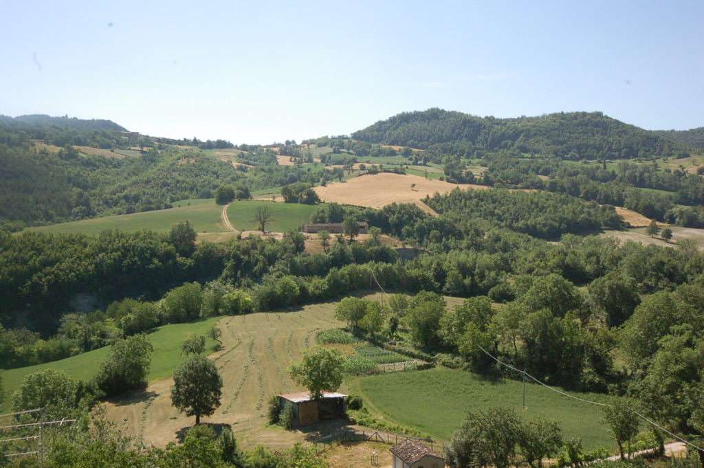  - foto 22