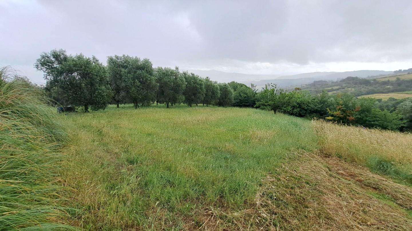  - foto 31