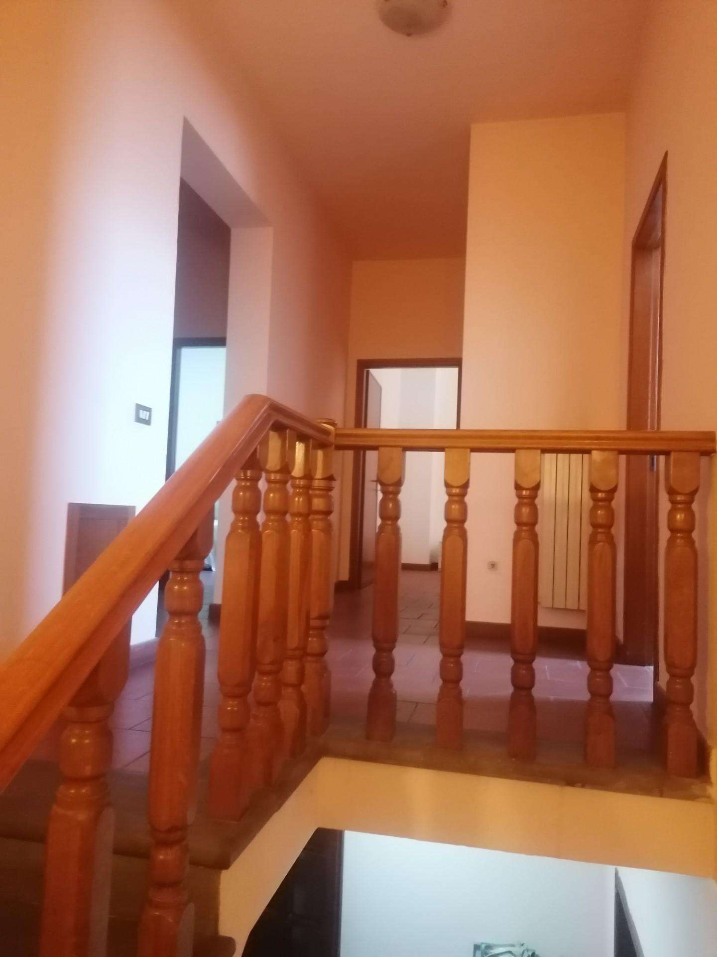  - foto 16