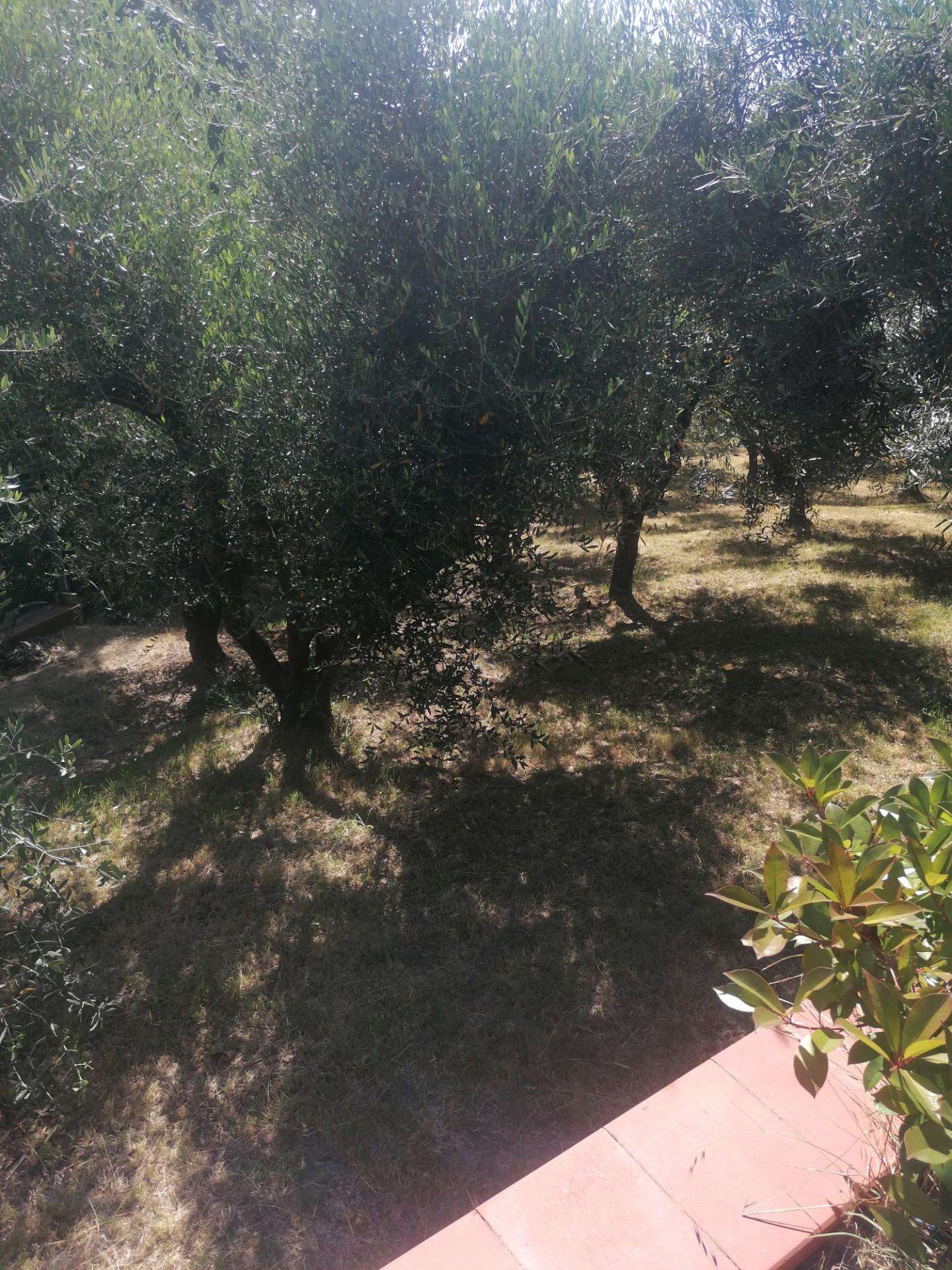  - foto 21