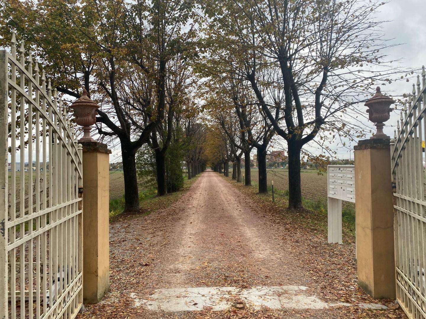  - foto 31