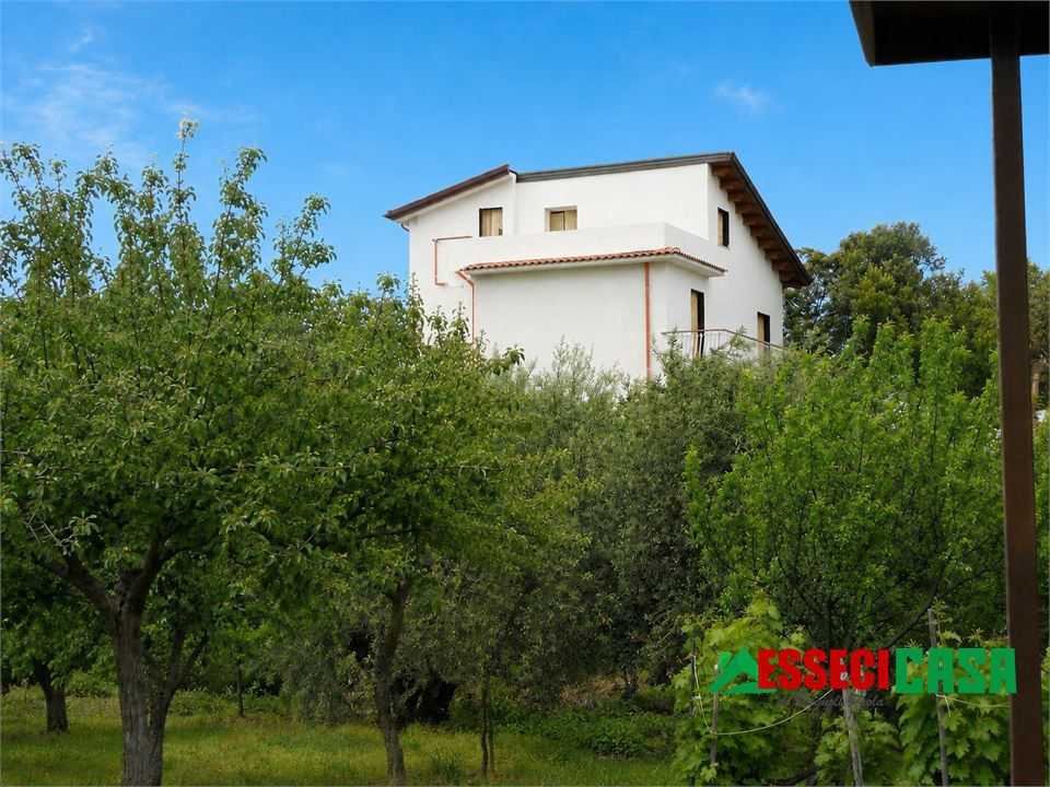 - foto 3