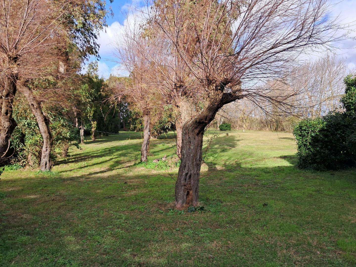  - foto 51