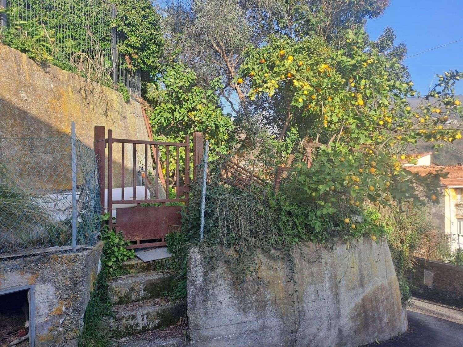  - foto 15