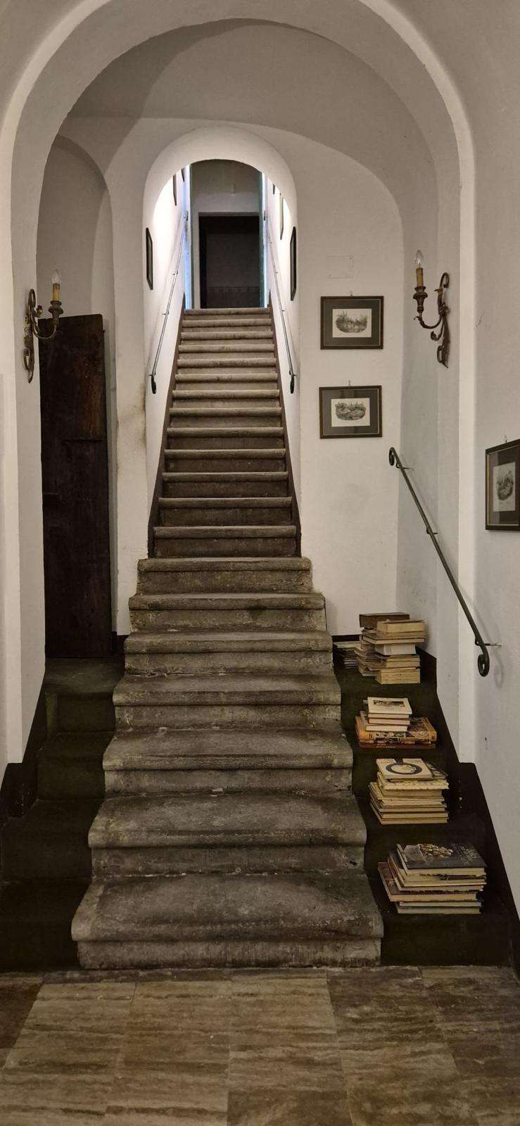  - foto 6