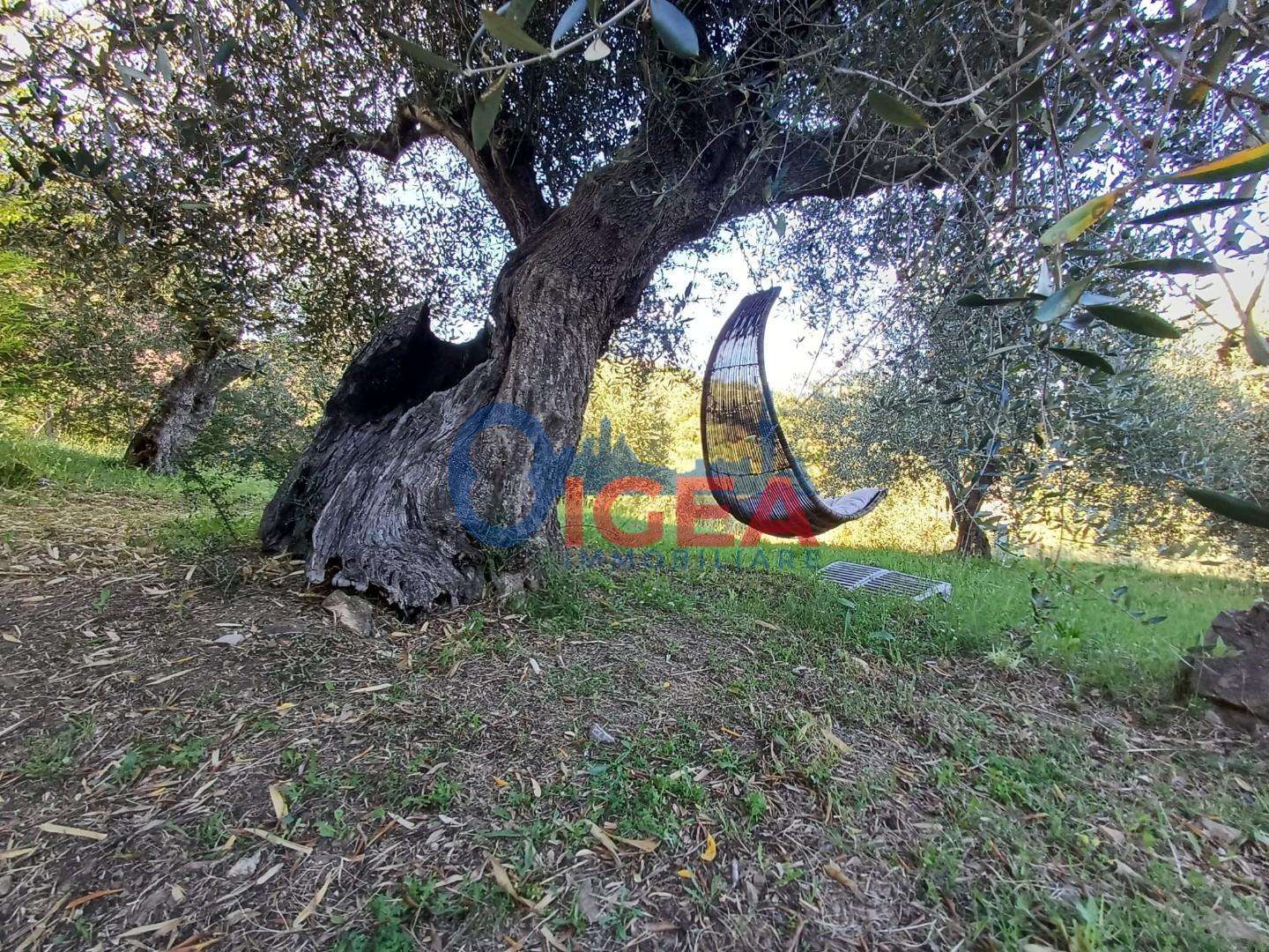  - foto 42