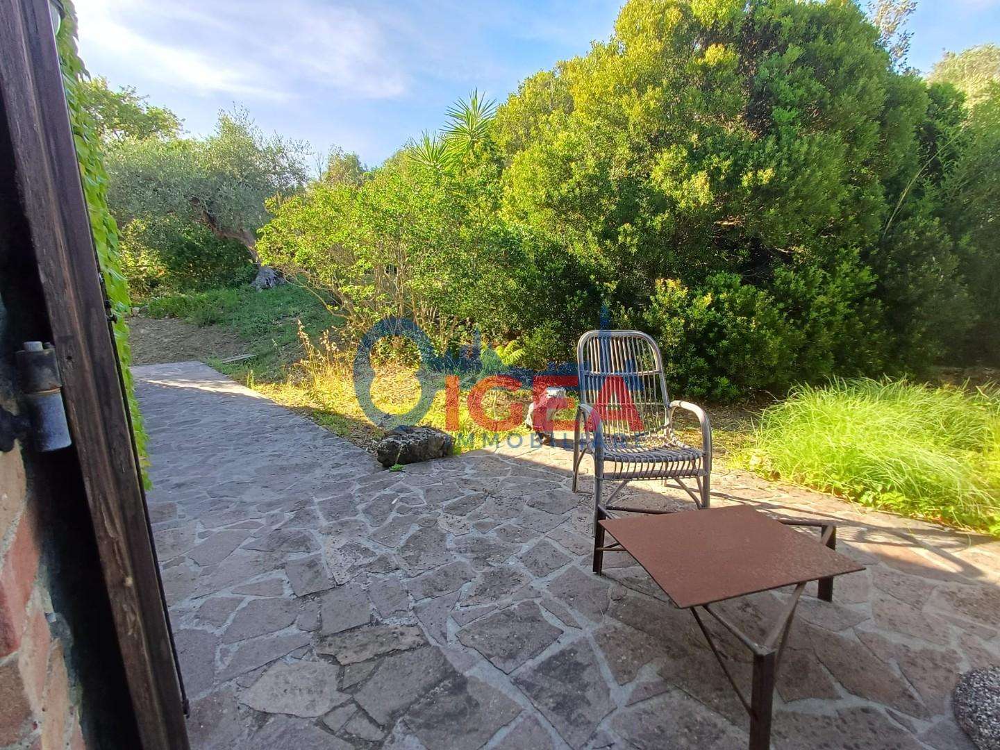  - foto 58