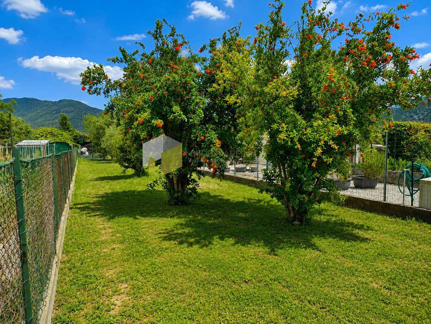  - foto 23