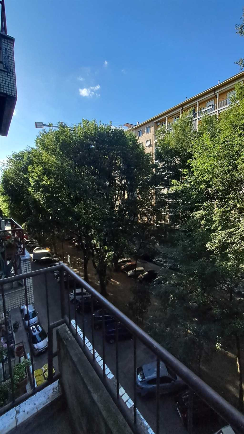  - foto 11