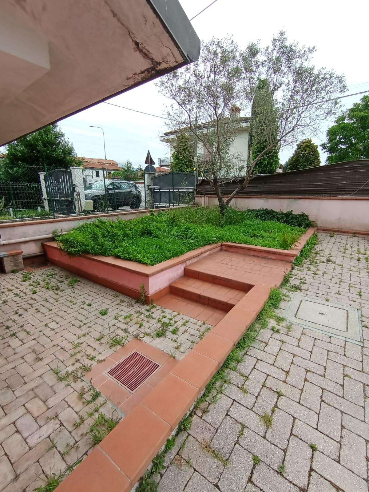  - foto 13