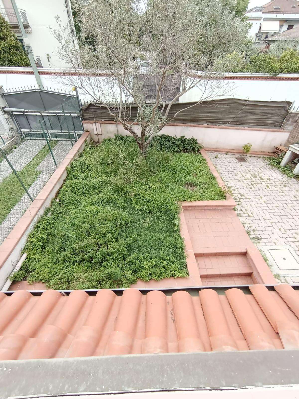  - foto 25