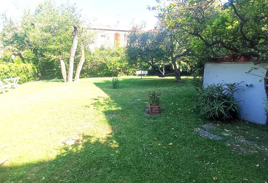  - foto 10