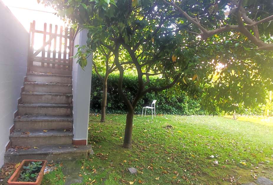  - foto 30