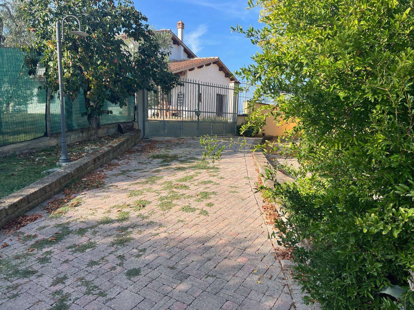  - foto 11