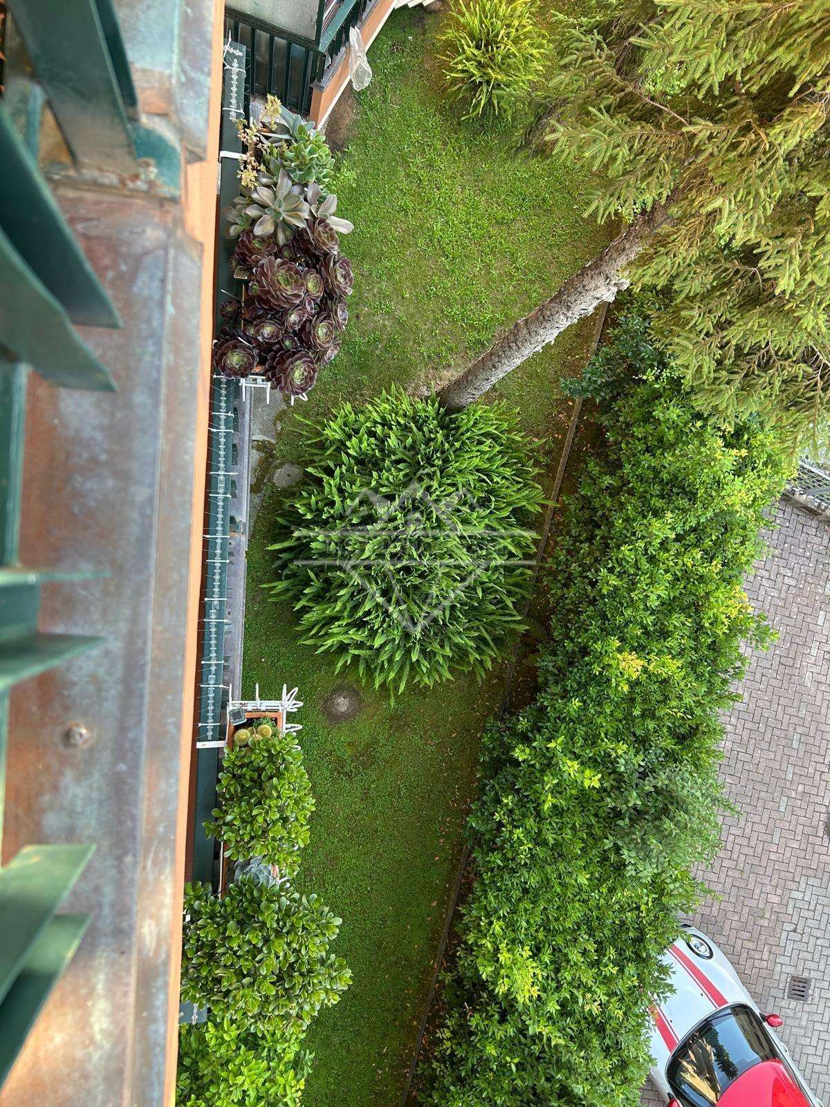  - foto 12