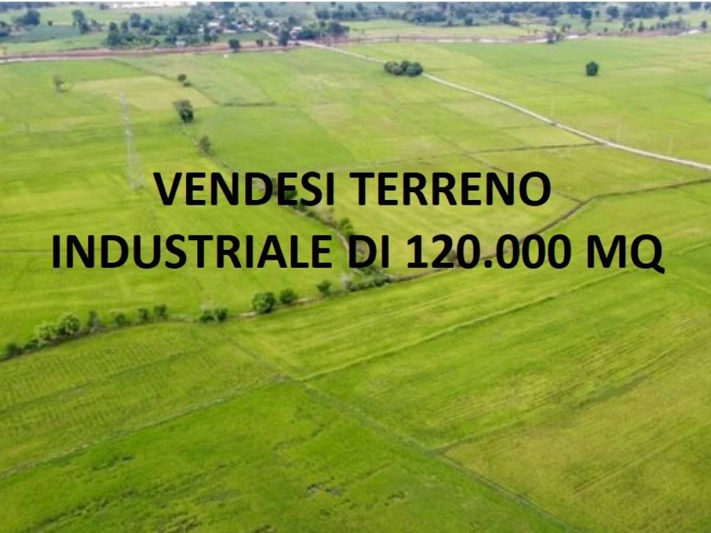 Terreno industriale, Patrica