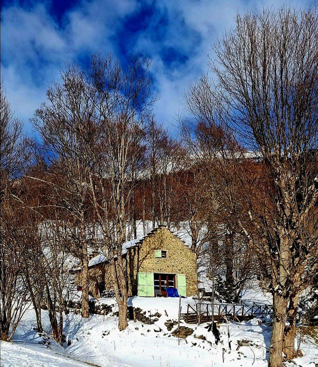  - foto 31