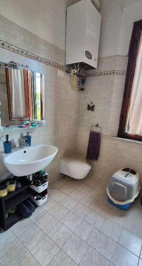  - foto 14