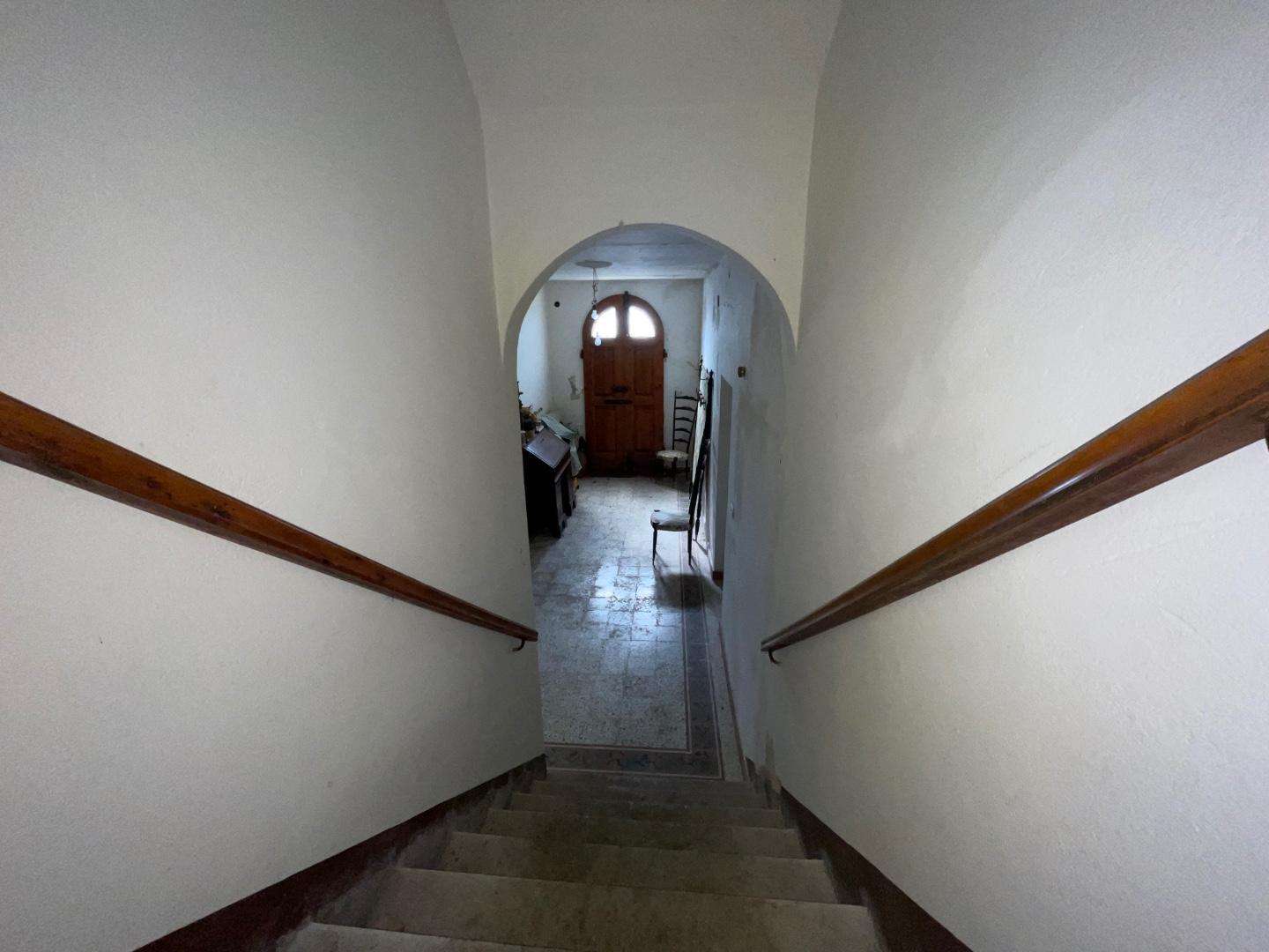  - foto 20